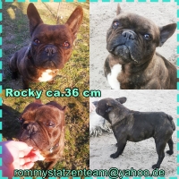Rocky Collage