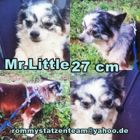 Mr. Little