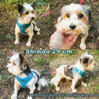 Shiwoo Collage