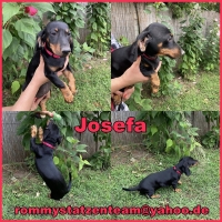 Josefa Collage