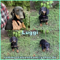 Luggi Collage