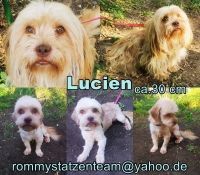 Lucien Collage neu