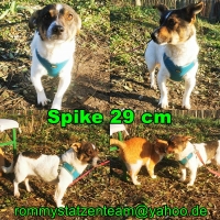 Spike Collage