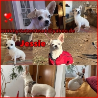 Jessie Collage neu