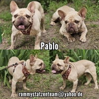 Pablo Collage