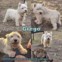 Grego Collage