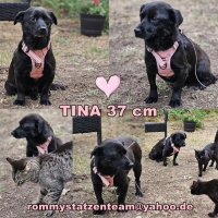 Tina Collage