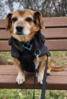 Moritz ehemals Bolle PS24