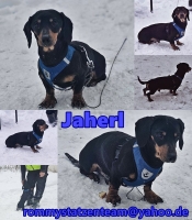 Jaherl Collage