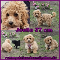 Joella Collage