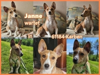 Janne PS Collage neu