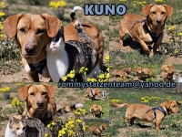 Kuno Collage