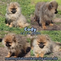 Cody Collage
