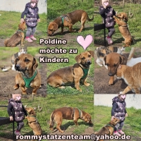 Poldine Collage