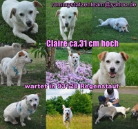 Clair Collage