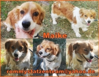 Maike Collage