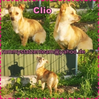 Clio Collage