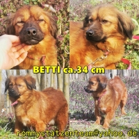 Betti Collage