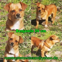 Benjamin Collage