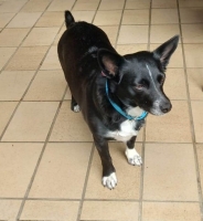 Eden Rücklaufer5.jp6