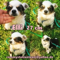 Elfi Collage