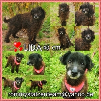 Lida Collage