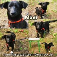 Mädi Collage