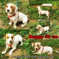 Maggy Collage
