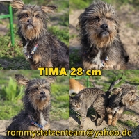 Tima Collage