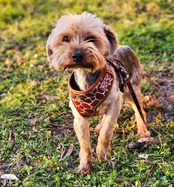 Circo ist reserviert