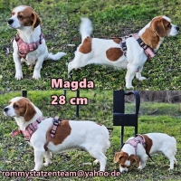 Magda Collage