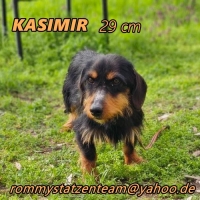 Kasimir6