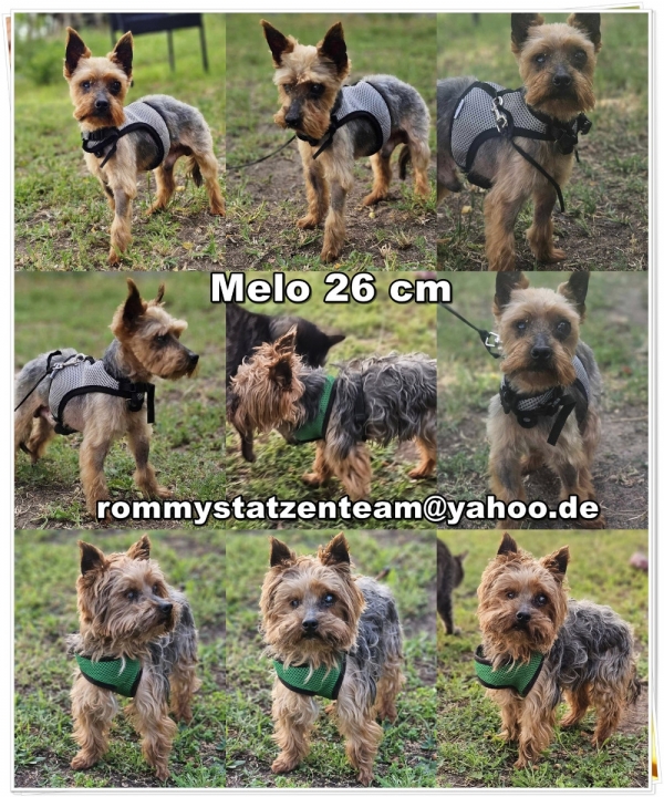 Melo ist reserviert