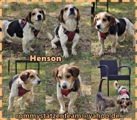 Henson Collage