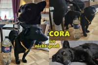Cora Collage neu