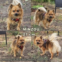 Minzou Collage