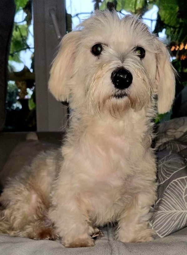 Havel ist vermittelt