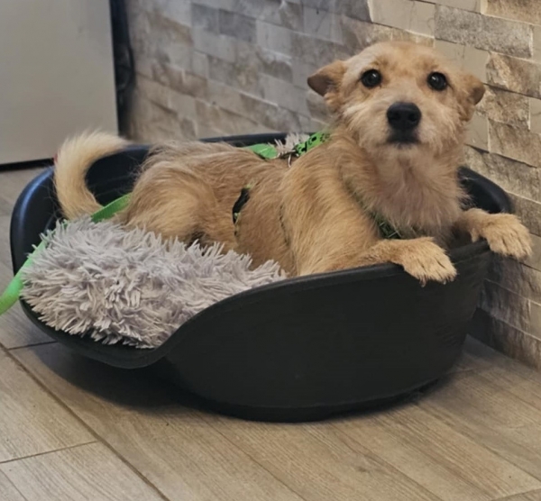 Jörn ist reserviert