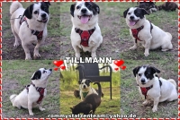 Tillmann Collage neu