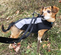 Moritz ehemals Bolle PS27