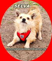 Selva2