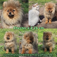 Chester