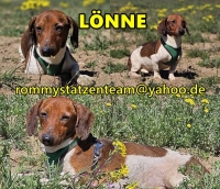 Lönne