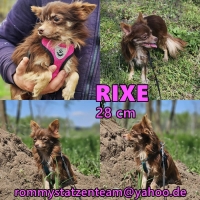 Rixe PS Collage