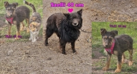 Tilly, Schwester und Mutter