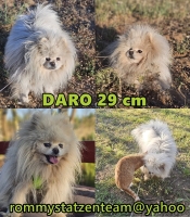 Daro Collage
