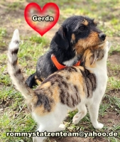 Gerda Katze