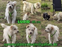 Lucio Collage Lucio