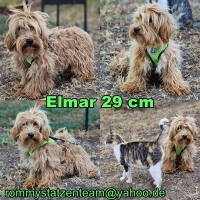 Elmar Collage Elmar