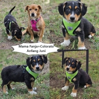 Colorato und Mama Fenja Collage